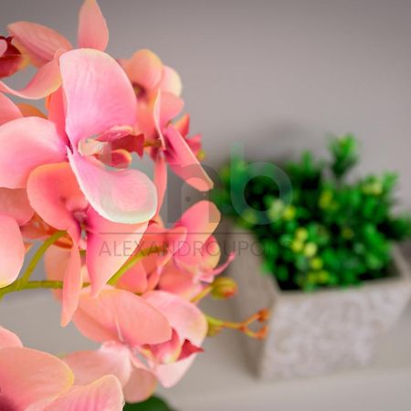 The Floral Suite Alexandroúpolis Ngoại thất bức ảnh