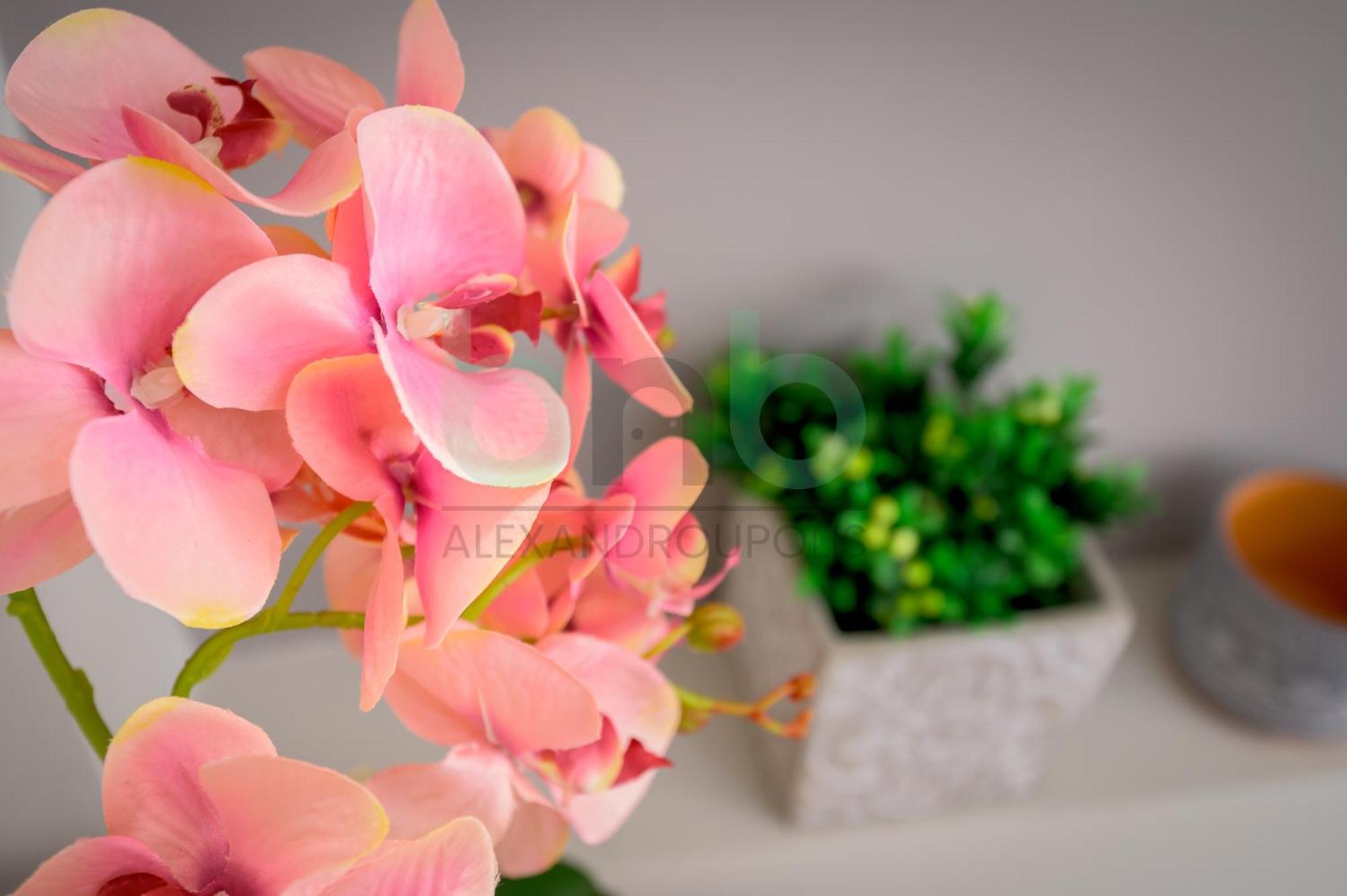 The Floral Suite Alexandroúpolis Ngoại thất bức ảnh