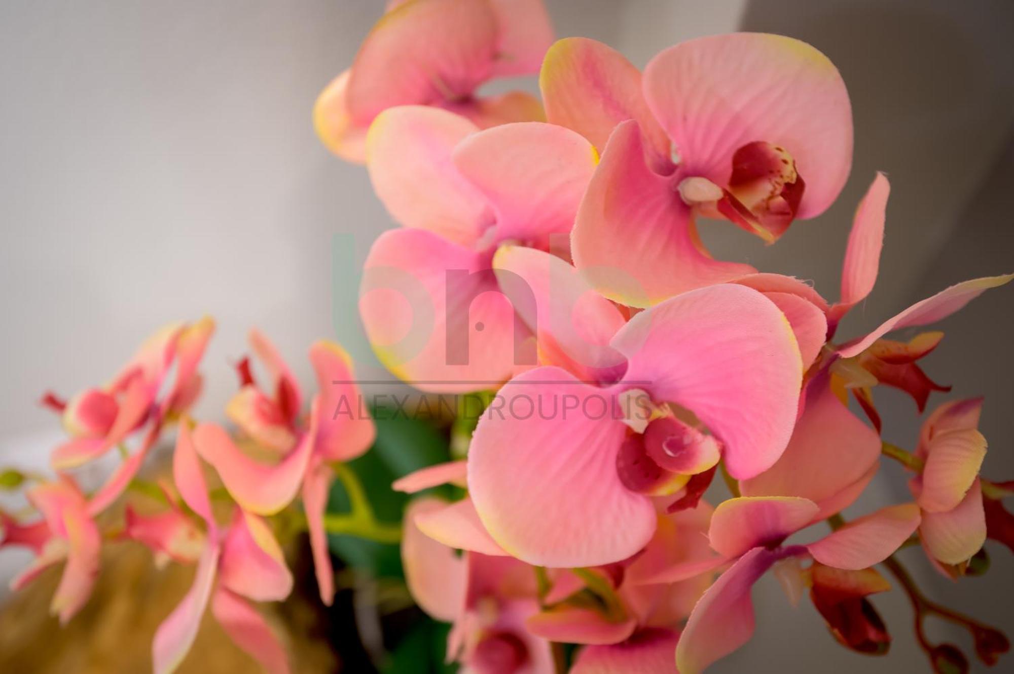 The Floral Suite Alexandroúpolis Ngoại thất bức ảnh