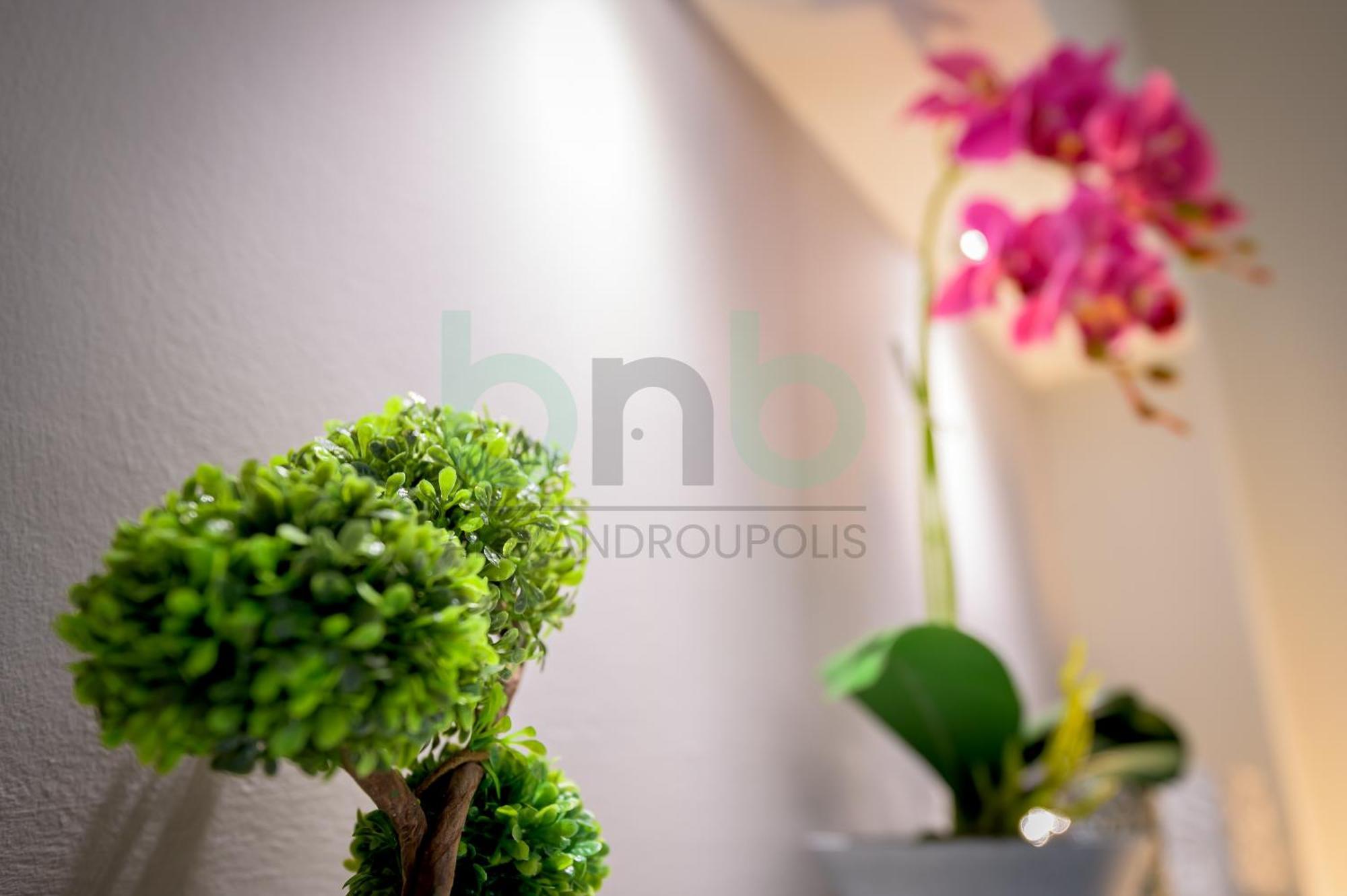 The Floral Suite Alexandroúpolis Ngoại thất bức ảnh